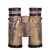 Bushnell powerview 10x42 AP HD