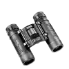Bushnell powerview 12x25