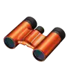 Nikon Aculon 10x21 T01