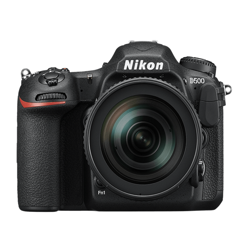 Nikon D500 + Nikkor 16-80mm