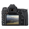 Nikon D780 + Nikkor 24-120mm f/4G ED VR