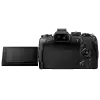 Olympus OM-D E-M1 Mark II + obj. 12-100 f4 PRO