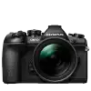 Olympus OM-D E-M1 Mark II + obj. 12-100 f4 PRO
