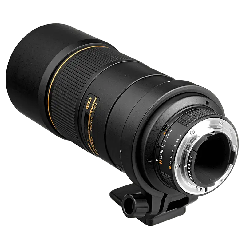 Nikkor AF-S 300mm f/4D IF-ED