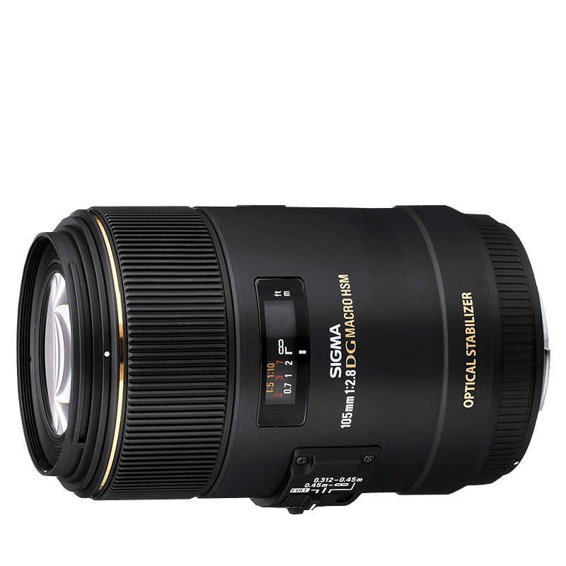 Sigma 105mm f/2,8 EX DG Macro OS (pre Nikon)