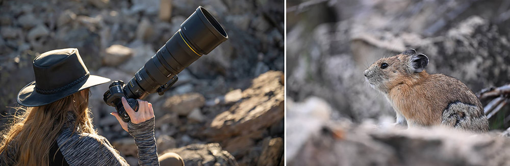 teleobjektív v akcií