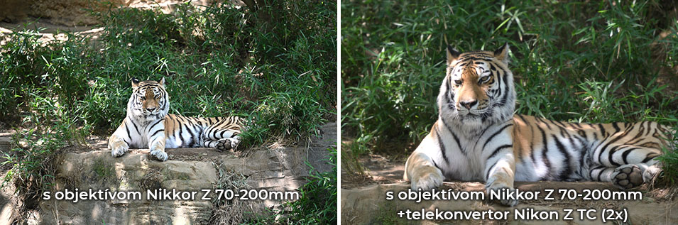 nikon-telekonventor-tc-2.0x