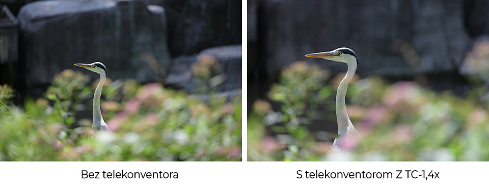 telekonventor nikon z